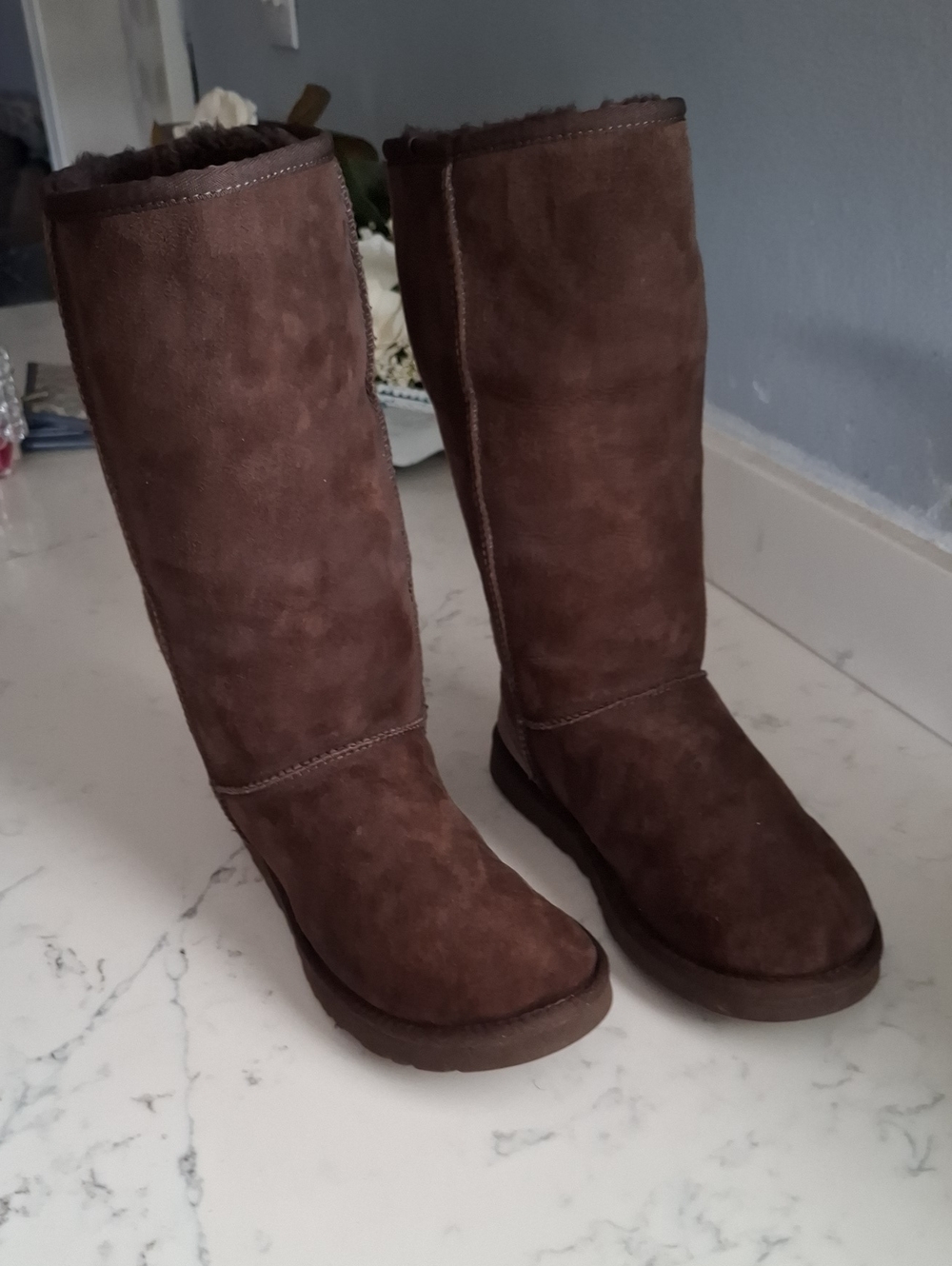 UGG Women Tall Brown Suede Winter Boots with Plush Lining
